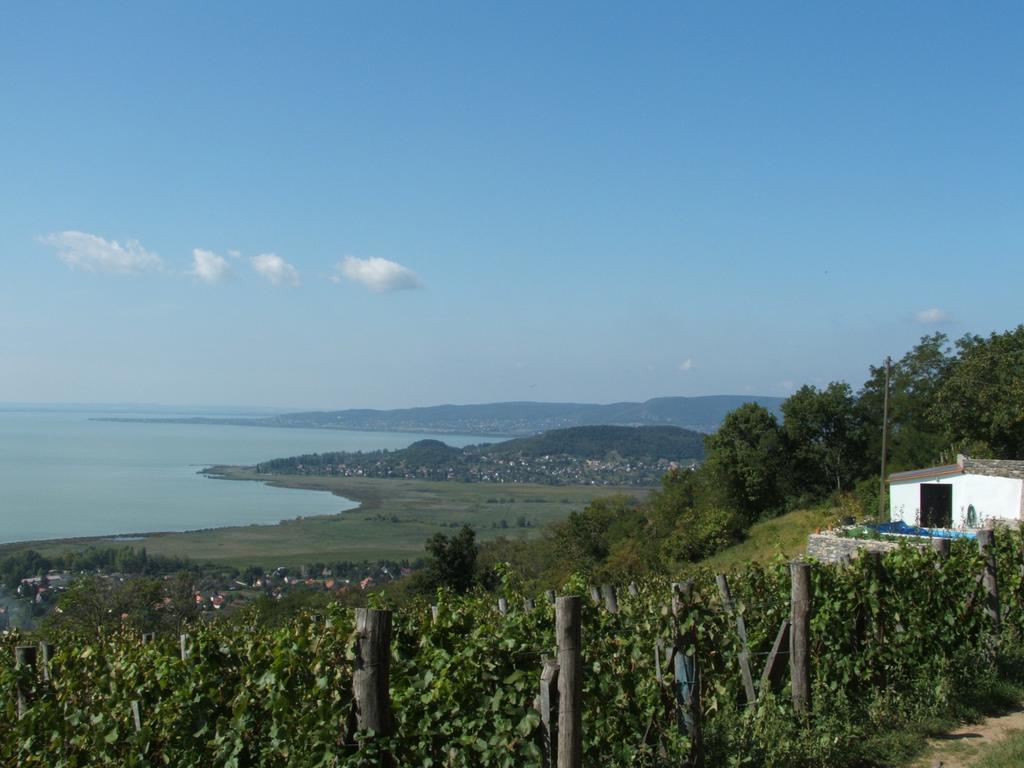 Kis Teniszhaz Ordacsehi Exterior photo